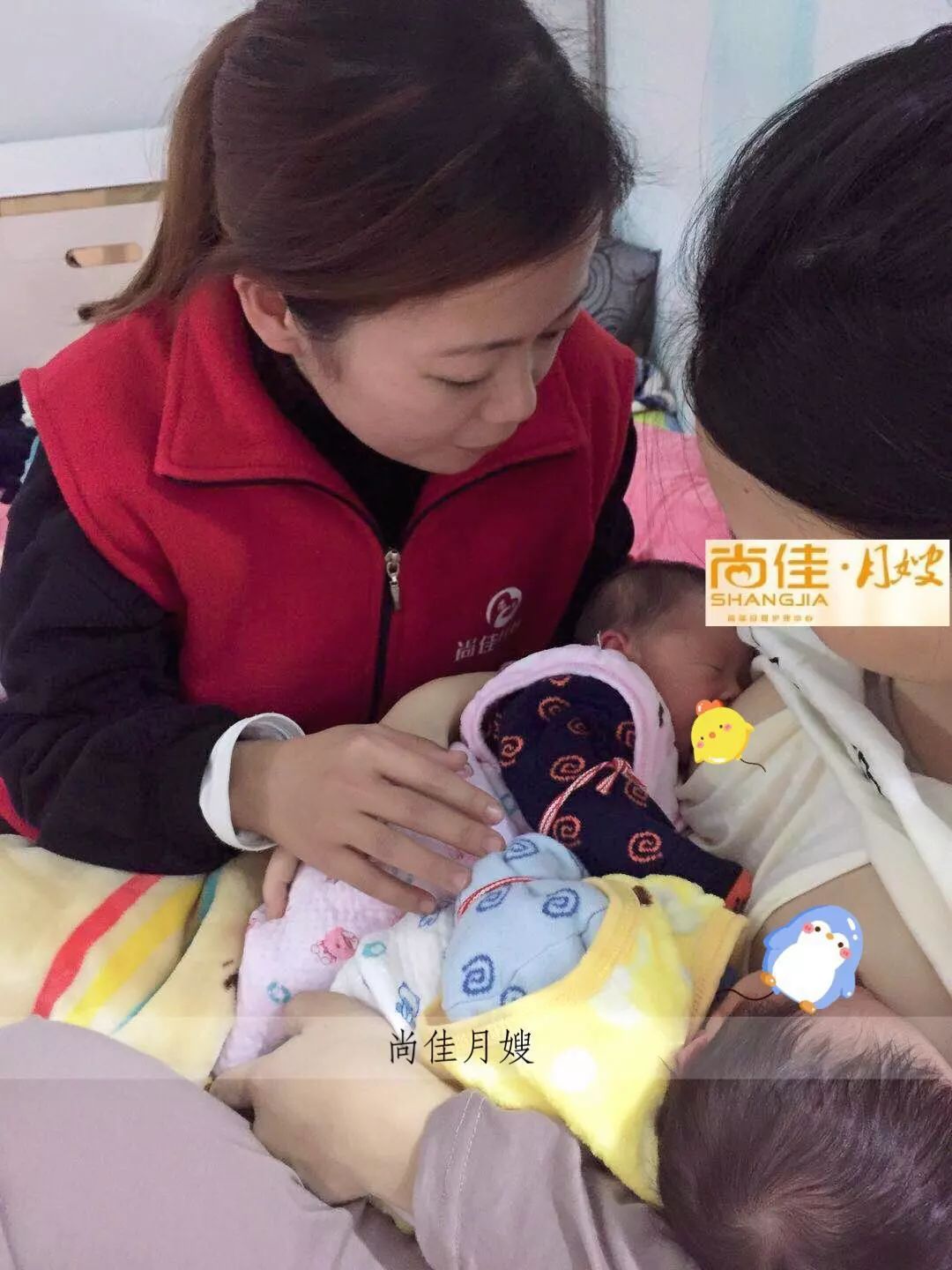 尚佳專業(yè)月嫂丨初生嬰兒需要吃多少？